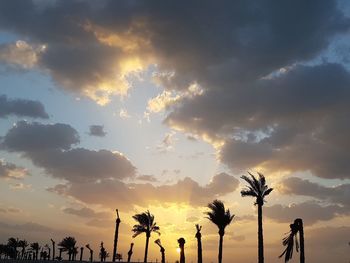 Low angle view of silhouette palm trees against sky during sunset