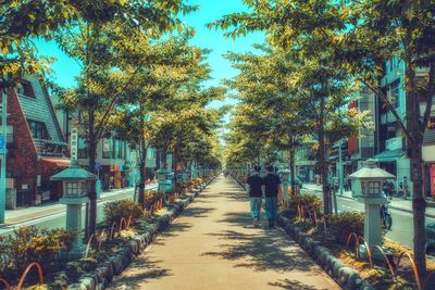 Footpath amidst trees in city