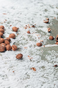 Close-up of walnuts on snow