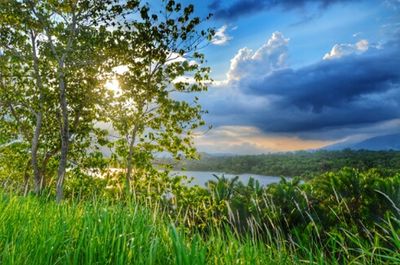 Scenic view of landscape against cloudy sky