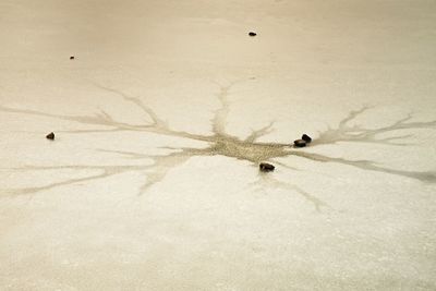 High angle view of snow on land