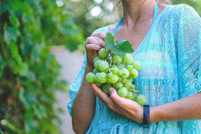 Midsection of woman holding grapes