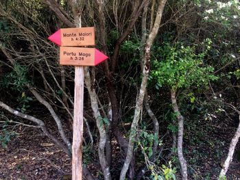 Close-up of road sign against trees