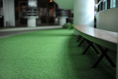 Close-up of turf by bench in modern building