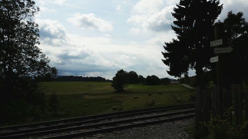 Road passing through field