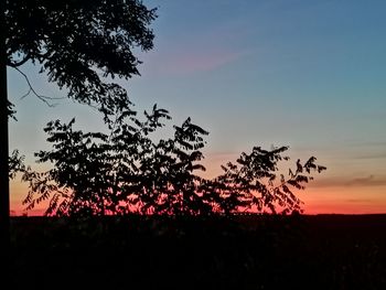 Low angle view of silhouette tree against sky during sunset