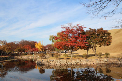 Autumn view of daereungwon royal tomb park with the blue sky in gyeongju, soutn korea