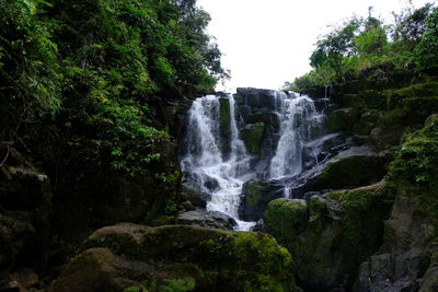 Scenic view of waterfall in forest