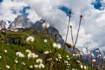 Scenic view of snowcapped mountains against sky