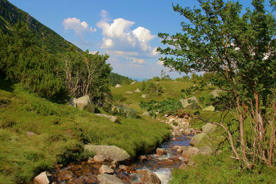 Scenic view of green landscape against sky