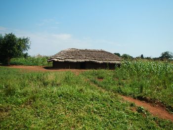 Scenic view of grassy field against sky