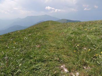 Scenic view of field against sky