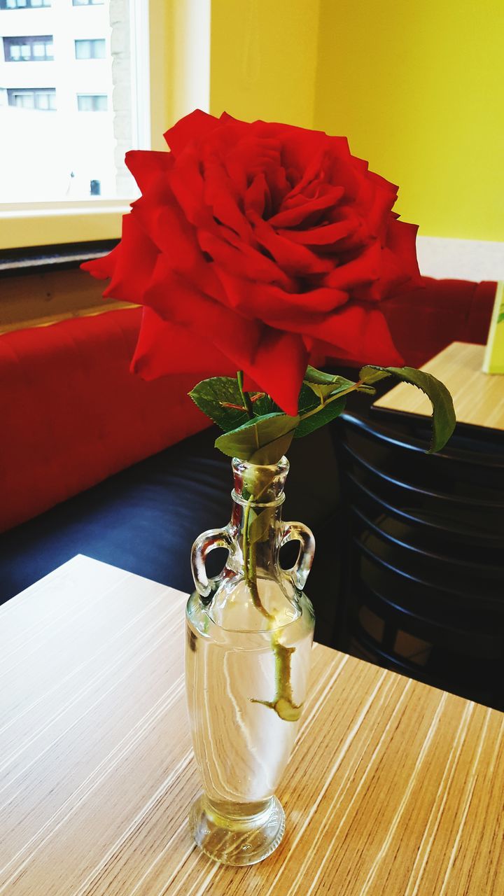 flower, vase, fragility, petal, freshness, flower head, red, close-up, flower arrangement, no people, still life, beauty in nature, orange color, nature, plant, focus on foreground, day, growth