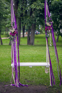 The wedding of the swing to the tree colors red, purple and white roses, ribbons developing