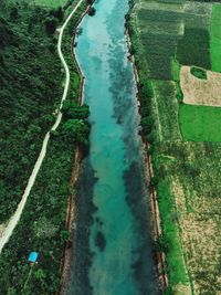 High angle view of green landscape