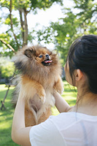 Rear view of woman with dog