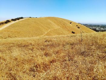 Scenic view of field against clear sky