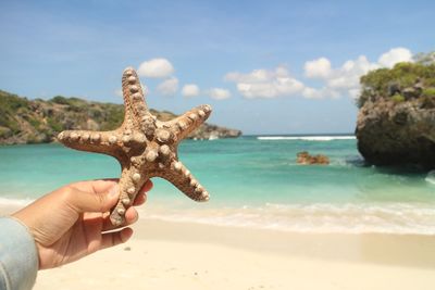 Person hand holding sea shore