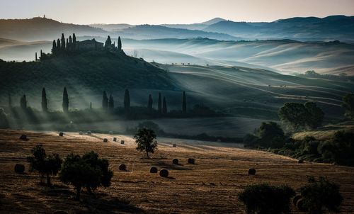 Scenic view of landscape against sky