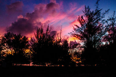 Low angle view of silhouette trees against dramatic sky