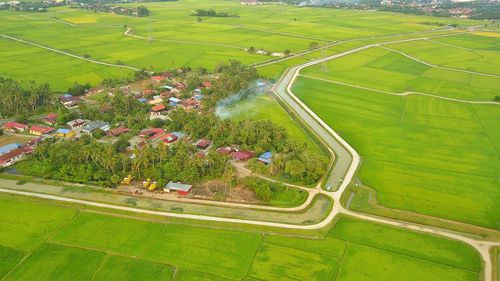 High angle view of agricultural field