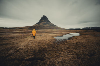 Rear view of man walking on landscape