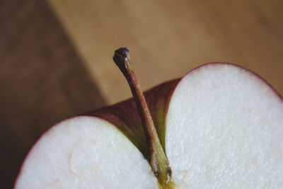 Close-up of fruit on plant