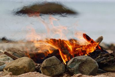 Close-up of firewood