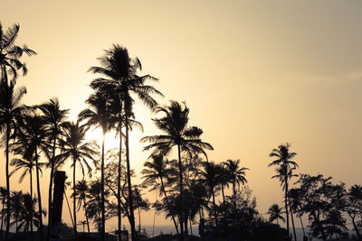 Low angle view of silhouette palm trees against sky during sunset