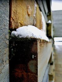 Close-up of ice on road