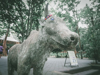 Statue of horse in park