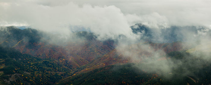 Panoramic shot of trees on land against sky