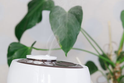 Photo of white air humidifier spreading steam. humidification of dry air. selective focus on vapor.