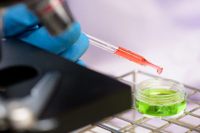 Close-up of scientist working in laboratory