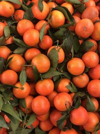 Citrus orange fruit on the market