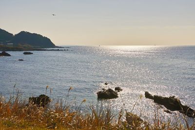 Scenic view of sea against sky at sunset