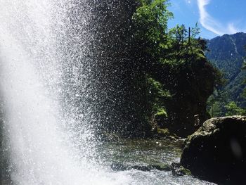 Water splashing on tree against sky