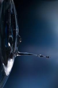 Close-up of water drop against blue background