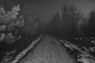 Road amidst trees in forest during winter
