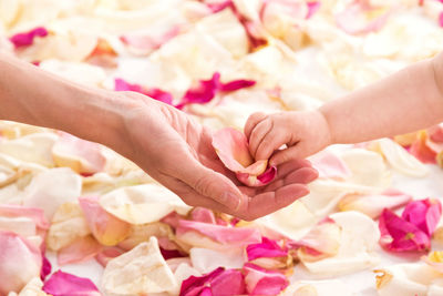 Midsection of woman holding rose bouquet