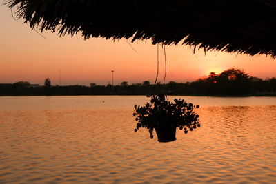 Silhouette palm tree by lake against sky during sunset