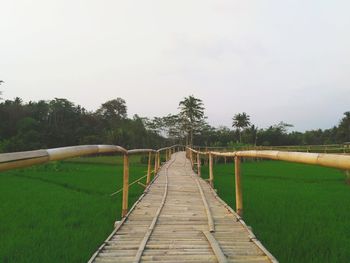 Wooden footbridge amidst trees against sky