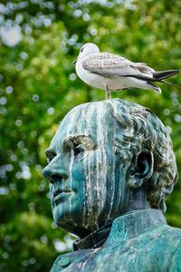 Close-up of statue against blurred background