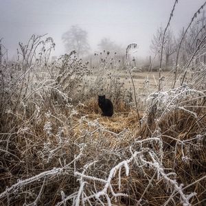 View of snow on field during winter