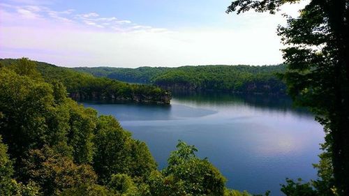 View of lake with trees in background