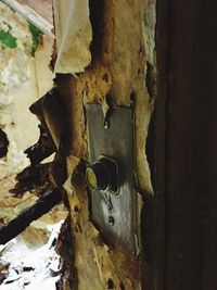 Close-up of old weathered door