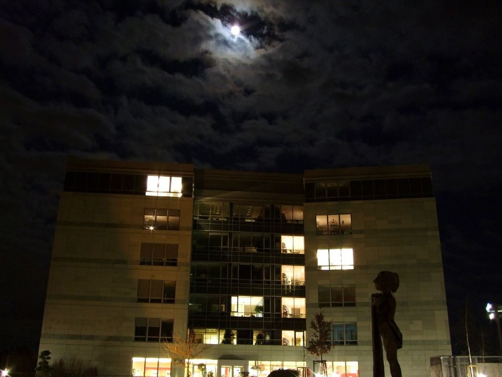 architecture, built structure, building exterior, low angle view, sky, illuminated, night, city, building, cloud - sky, window, modern, street light, lighting equipment, dusk, residential building, cloudy, city life, outdoors, silhouette