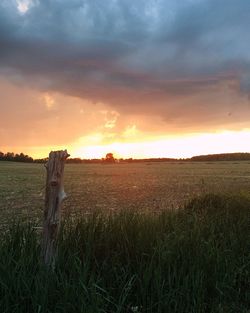 Scenic view of field against sky during sunset
