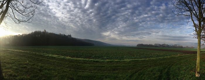 Scenic view of agricultural field against sky