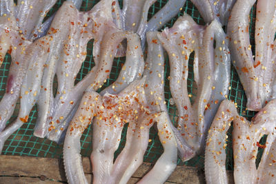 High angle view of fish in market